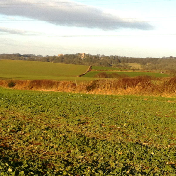 Derbyshire on our doorstep